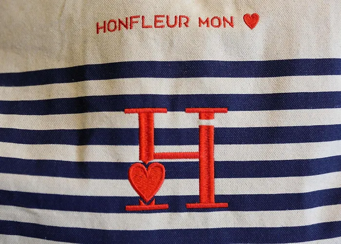 Ibis Budget Centre أونفلور