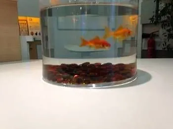 Ibis Budget Centre 2*